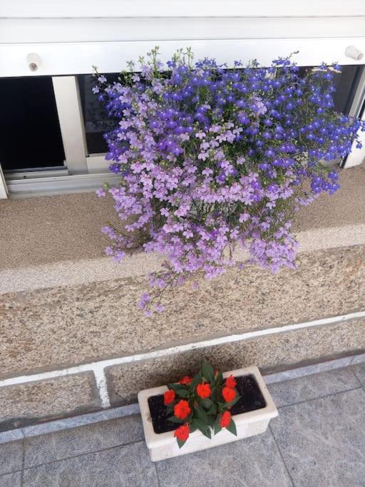 Precioso Apartamento En San Vicente De O Grove San Vicente do Grove Exterior foto